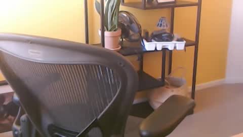 filip907 online show from September 25, 11:25 am