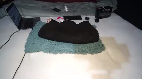 Rania online show from November 10, 8:46 am