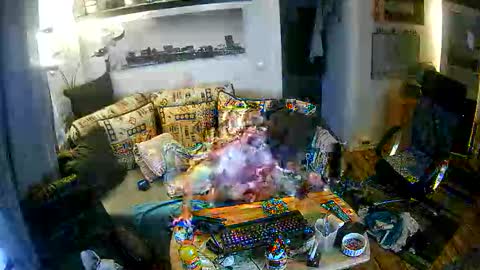 Snapshot of fips1981 chatting on November 21, 6:56 am fips1981 online show from November 21, 6:56 am