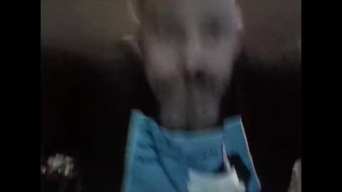 Brad online show from November 1, 12:18 pm