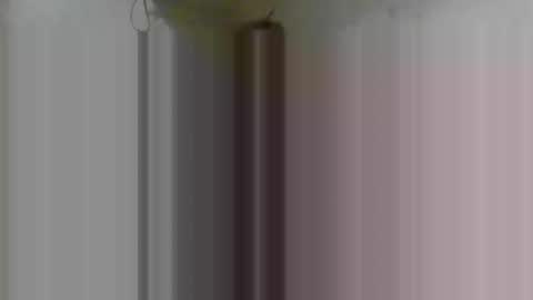 Snapshot of firsttime_freak chatting on February 8, 4:38 am FirstTimeFeak online show from February 8, 4:38 am