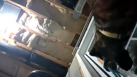 Nate online show from September 25, 2:15 am