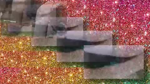 Snapshot of flextle chatting on January 17, 11:30 pm Flextle Bunny online show from January 17, 11:30 pm