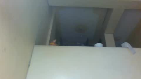 Amber online show from November 29, 12:19 pm