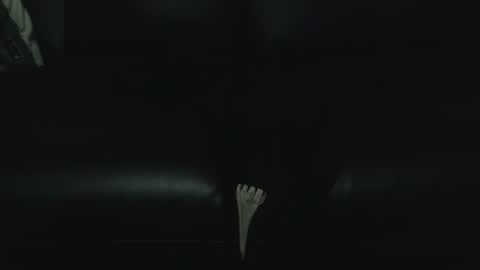 fonixxx69 online show from January 9, 1:08 am