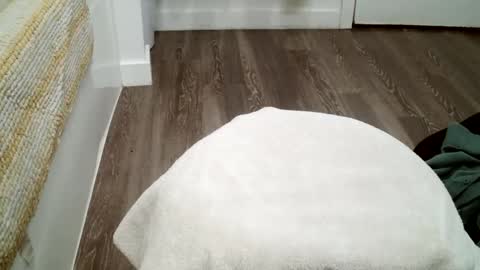 forestnymphpdx online show from October 19, 12:11 am