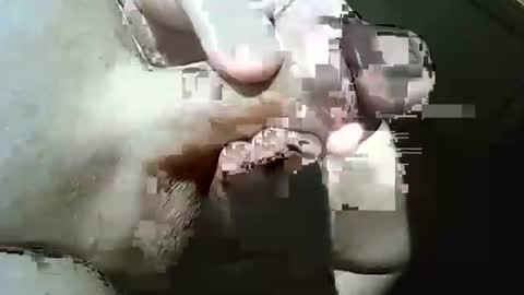 Frank online show from March 29, 10:37 am