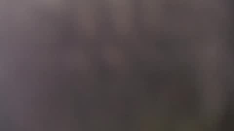 francescosal online show from May 15, 10:44 am