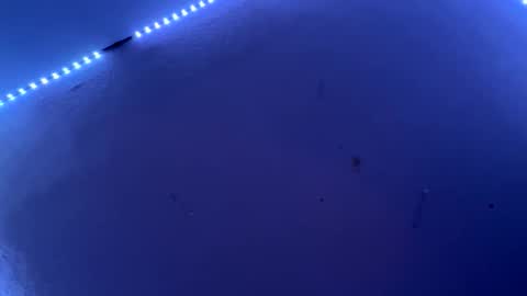 Snapshot of freakymaa chatting on June 11, 4:54 am Freakymaa online show from June 11, 4:54 am