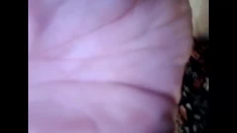 Snapshot of frecklesandsparky chatting on April 4, 2:25 pm frecklesandsparky online show from April 4, 2:25 pm