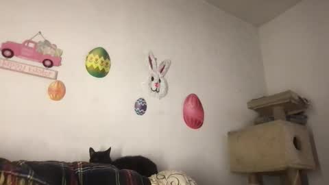 Snapshot of freddyfootball chatting on March 23, 11:09 pm Freddy Foot Balls online show from March 23, 11:09 pm