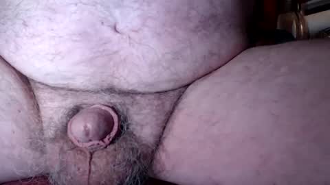 freeamos online show from December 27, 2:04 am