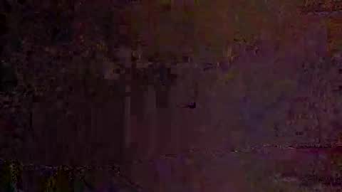 freelingling online show from November 30, 8:18 am