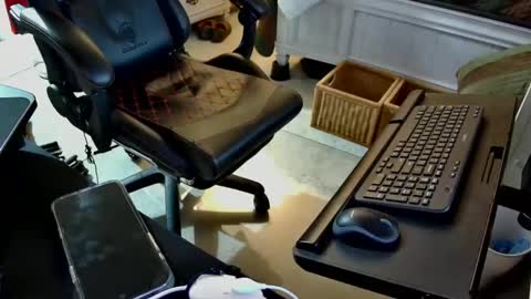 freespirt2 online show from November 1, 3:08 am