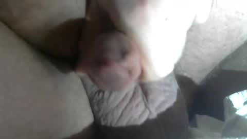 Call me Daddy online show from February 5, 7:07 am