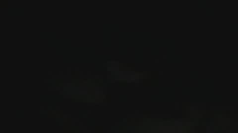 French Sailor online show from November 30, 12:53 pm