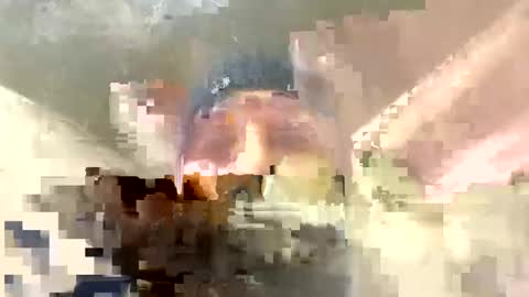 Snapshot of frenchhard0000 chatting on December 17, 12:34 am Horny french hard online show from December 17, 12:34 am