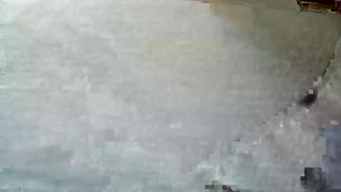 Snapshot of frenchpapalover chatting on December 5, 12:33 pm frenchpapalover online show from December 5, 12:33 pm