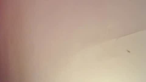 Snapshot of freyjashine_x chatting on February 25, 8:09 pm FREYJA LOREN online show from February 25, 8:09 pm