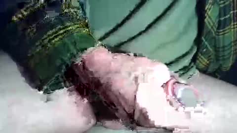 frogswrecking online show from December 21, 9:38 am