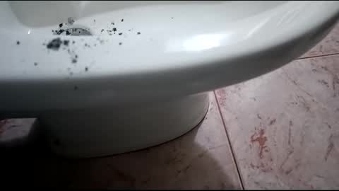 Snapshot of fronion chatting on January 31, 8:54 pm Hornycouple1386 online show from January 31, 8:54 pm