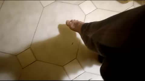 Snapshot of fronion chatting on February 16, 3:26 am Hornycouple1386 online show from February 16, 3:26 am