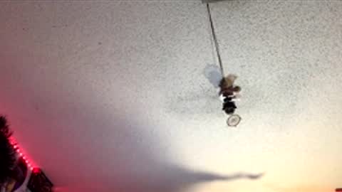 Snapshot of frozen232 chatting on April 1, 7:53 am Fabian online show from April 1, 7:53 am