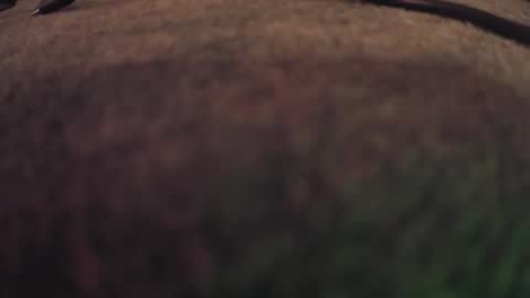 Snapshot of fumymo chatting on January 7, 8:22 pm fumymo online show from January 7, 8:22 pm