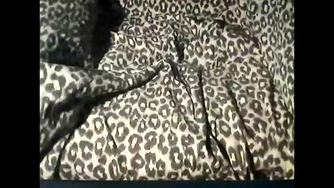 Snapshot of funcyman3 chatting on February 18, 6:04 pm funcyman3 online show from February 18, 6:04 pm