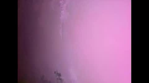 Daniel kim online show from November 17, 7:30 pm