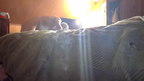 77daddy online show from February 23, 4:04 pm