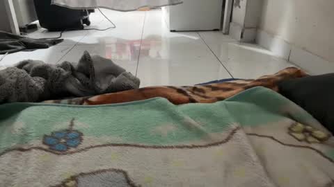 Snapshot of gab021593 chatting on January 8, 1:57 pm gab021593 online show from January 8, 1:57 pm