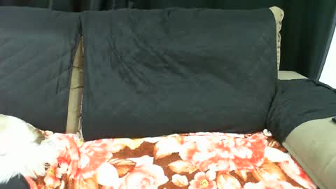 Snapshot of gabibrasil chatting on January 14, 3:22 am gaby layla online show from January 14, 3:22 am