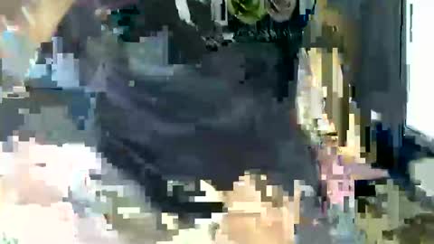 Snapshot of gabibrasil chatting on February 10, 4:19 am gaby layla online show from February 10, 4:19 am