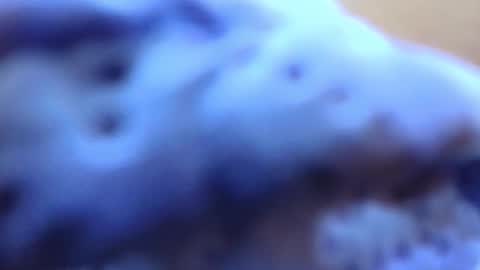 gabriela online show from February 14, 7:10 pm