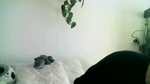 Gael Garca online show from February 11, 6:02 pm