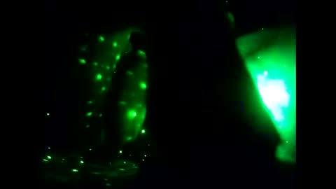 Snapshot of gala_starr chatting on December 15, 5:34 am Ms. Fit online show from December 15, 5:34 am