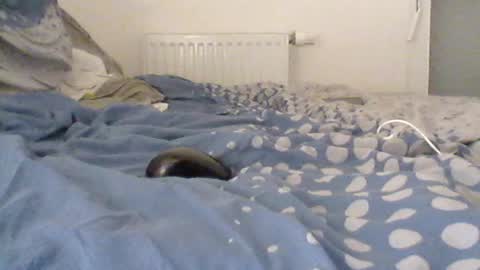 Snapshot of gamane3575 chatting on July 10, 7:12 am gamane3575 online show from July 10, 7:12 am