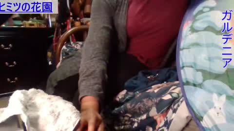 Gardenia online show from December 2, 8:41 am