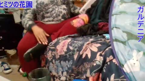 Gardenia online show from December 5, 9:06 am