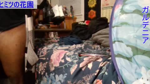 Gardenia online show from December 6, 9:43 am