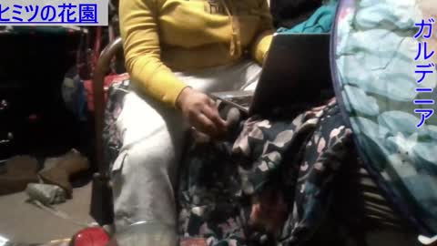 Gardenia online show from December 9, 8:33 am