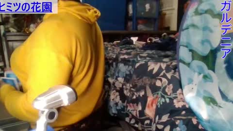 Gardenia online show from December 28, 2:22 am