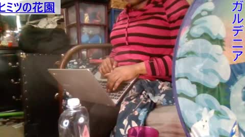 Gardenia online show from January 5, 9:03 pm