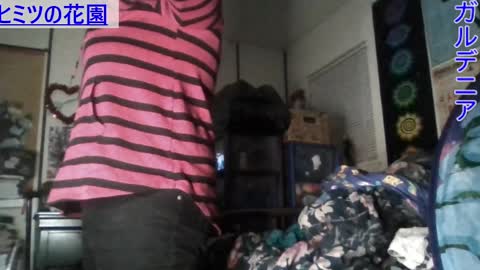 Gardenia online show from January 7, 7:42 am