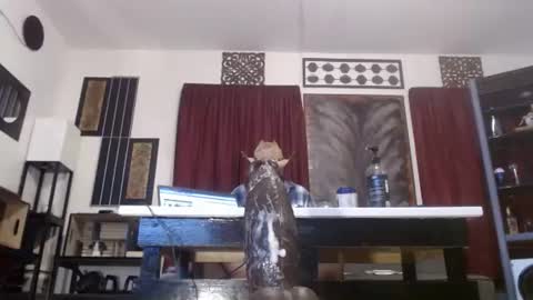 gatewaylaptop2019 online show from April 9, 6:19 am