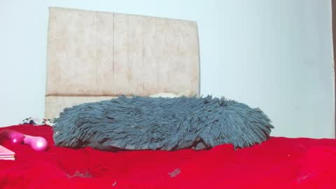 gatita13333321 online show from January 26, 5:56 am