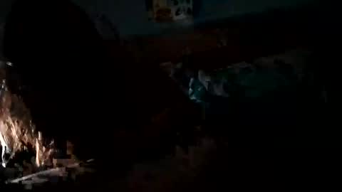 Daddy Gator online show from February 27, 7:55 am