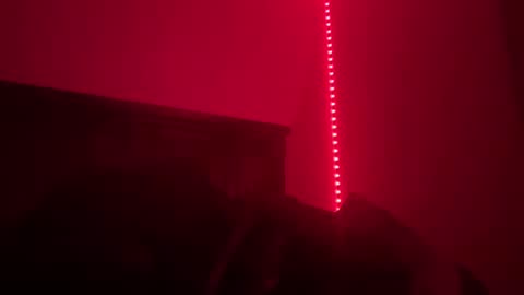 Tara online show from December 10, 8:51 am