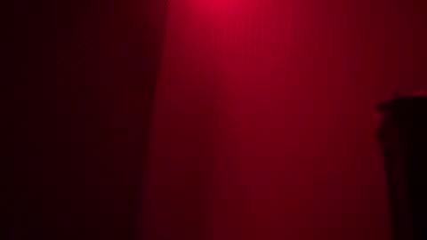 Tara online show from February 17, 12:38 pm